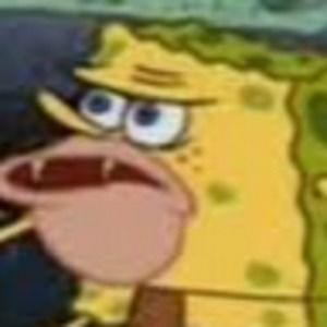 Meet your Posher, Nathan